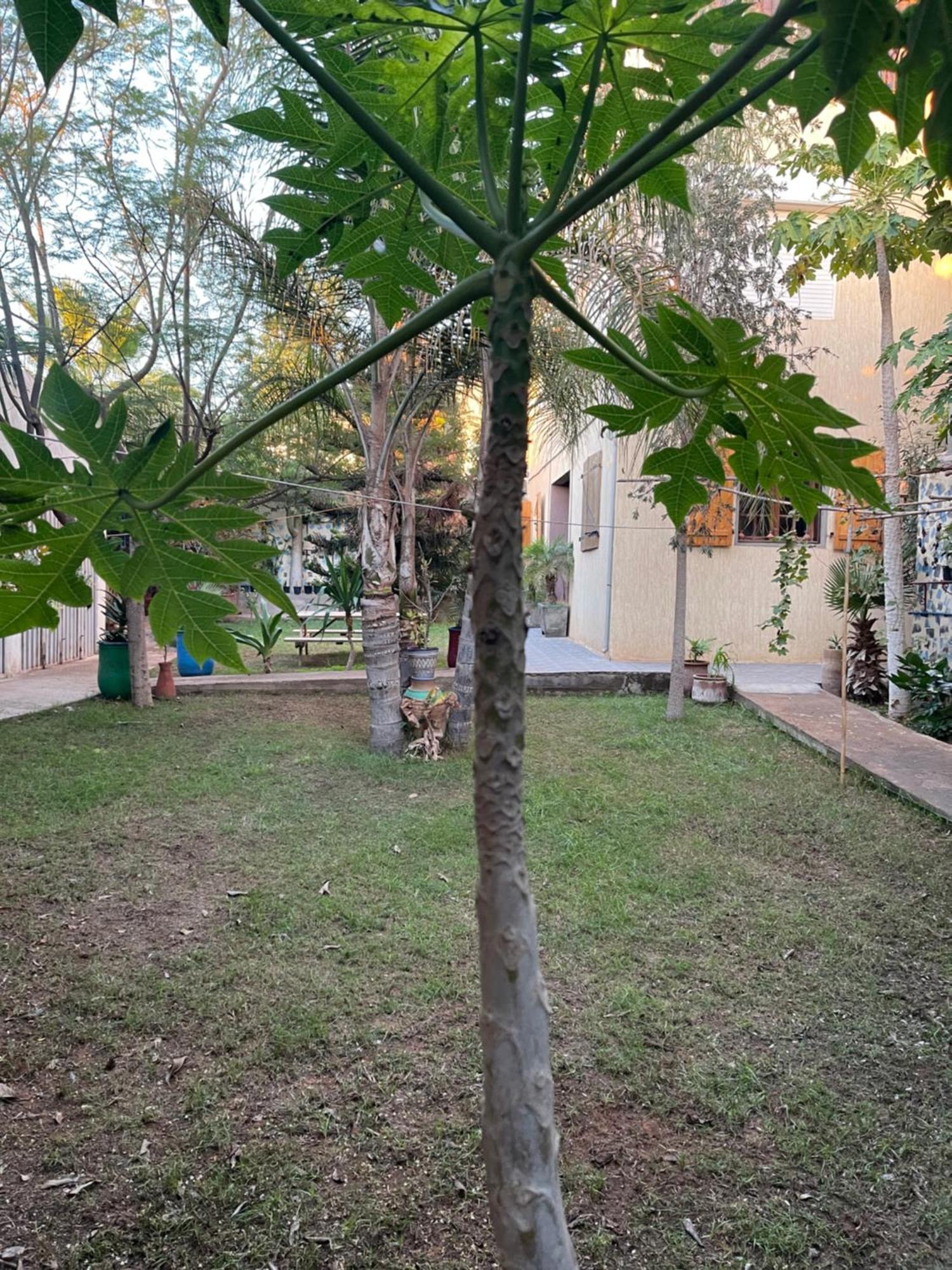 Riad Targante Takate 1 Sidi Bibi Exteriör bild